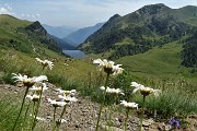 99 Margherite con vista sul Lago di Valmora